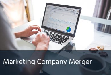 Marketing Company Merger - Case Study -  Consulting
